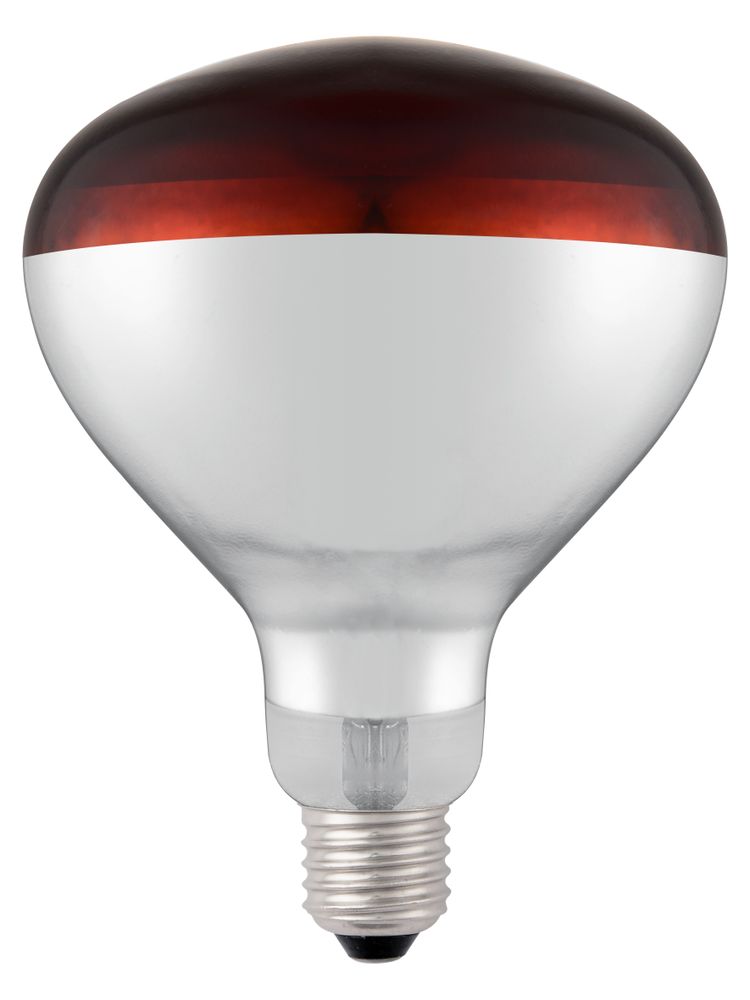 Infrarot-Glühlampe    Rot  230V/250W  ø125x(H)170mm-ING11676