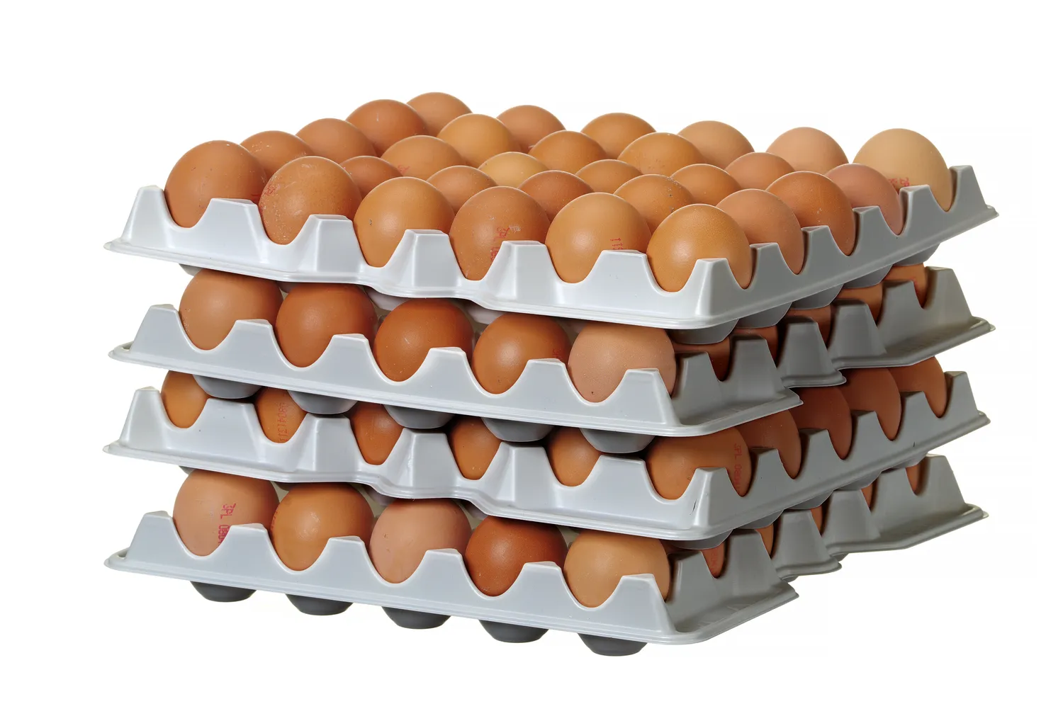 Set aus 4 Eierbehältereinsätzen für OVOBOX 120 Eier  29,1x28,8x(H)4,1cm