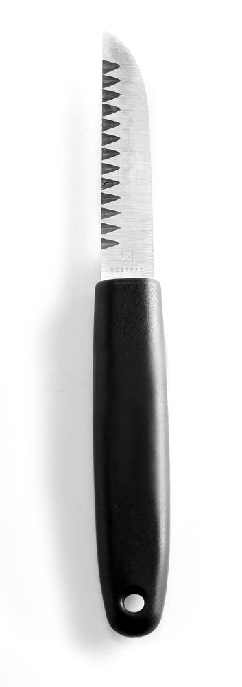 Dekoriermesser (L)200mm-ING12479